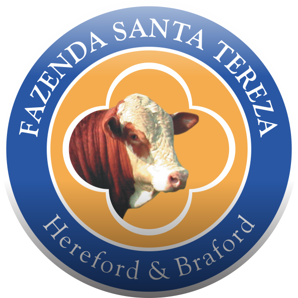 Fazenda Santa Tereza – Hereford e Braford – Arambaré/RS